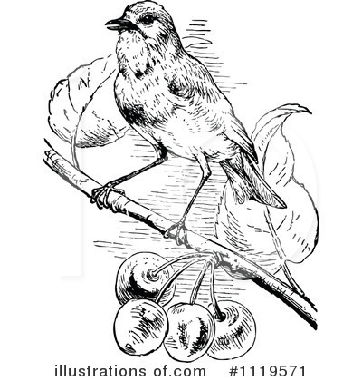 Royalty-Free (RF) Bird Clipart Illustration by Prawny Vintage - Stock Sample #1119571