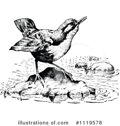 Royalty-Free (RF) Bird Clipart Illustration by Prawny Vintage - Stock Sample #1119578