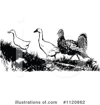 Royalty-Free (RF) Bird Clipart Illustration by Prawny Vintage - Stock Sample #1120862