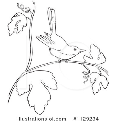 Bird Clipart #1129234 by Picsburg