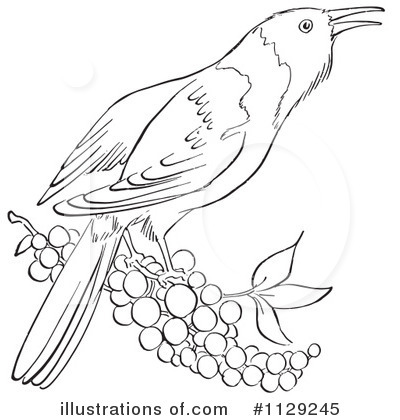 Bird Clipart #1129245 by Picsburg