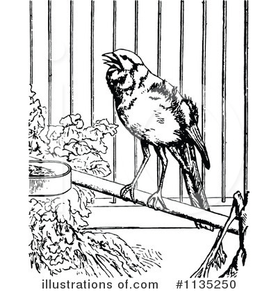 Royalty-Free (RF) Bird Clipart Illustration by Prawny Vintage - Stock Sample #1135250