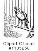 Bird Clipart #1135250 by Prawny Vintage