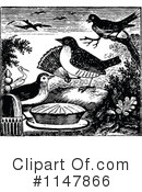 Bird Clipart #1147866 by Prawny Vintage