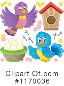 Bird Clipart #1170036 by visekart