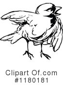 Bird Clipart #1180181 by Prawny Vintage