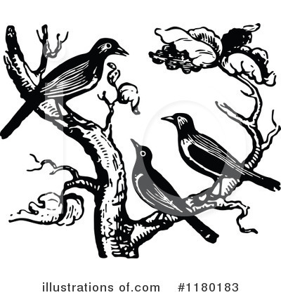 Royalty-Free (RF) Bird Clipart Illustration by Prawny Vintage - Stock Sample #1180183