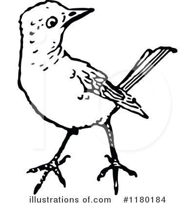 Royalty-Free (RF) Bird Clipart Illustration by Prawny Vintage - Stock Sample #1180184