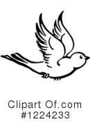 Bird Clipart #1224233 by Picsburg