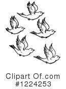Bird Clipart #1224253 by Picsburg