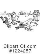 Bird Clipart #1224257 by Picsburg