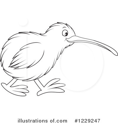 Kiwi Bird Clipart #1229247 by Alex Bannykh