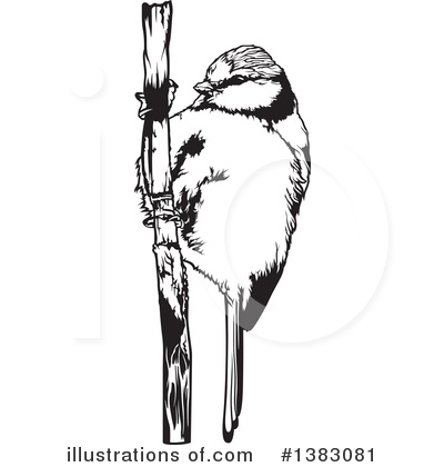 Royalty-Free (RF) Bird Clipart Illustration by dero - Stock Sample #1383081