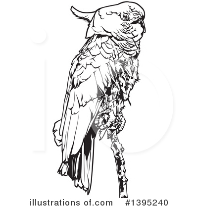 Royalty-Free (RF) Bird Clipart Illustration by dero - Stock Sample #1395240