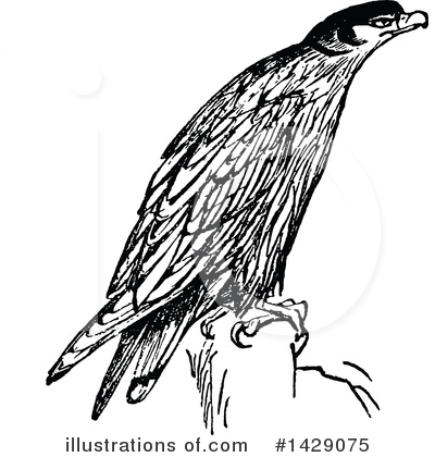Royalty-Free (RF) Bird Clipart Illustration by Prawny Vintage - Stock Sample #1429075