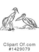 Bird Clipart #1429079 by Prawny Vintage
