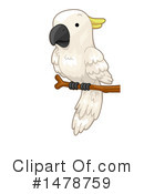 Bird Clipart #1478759 by BNP Design Studio