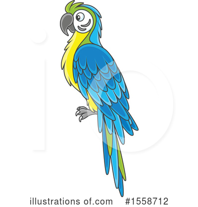 Blue And Gold Macaw Clipart #1558712 by Alex Bannykh