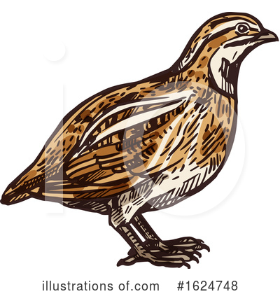 Royalty-Free (RF) Bird Clipart Illustration by Vector Tradition SM - Stock Sample #1624748