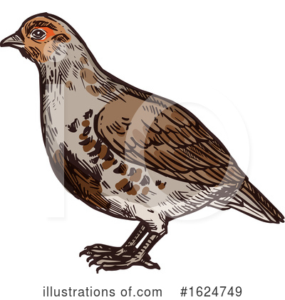 Royalty-Free (RF) Bird Clipart Illustration by Vector Tradition SM - Stock Sample #1624749