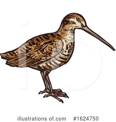 Royalty-Free (RF) Bird Clipart Illustration by Vector Tradition SM - Stock Sample #1624750