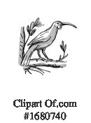 Bird Clipart #1680740 by patrimonio
