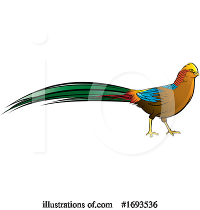 Pheasant Clipart #1693536 by Lal Perera