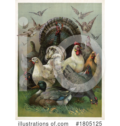 Royalty-Free (RF) Bird Clipart Illustration by JVPD - Stock Sample #1805125