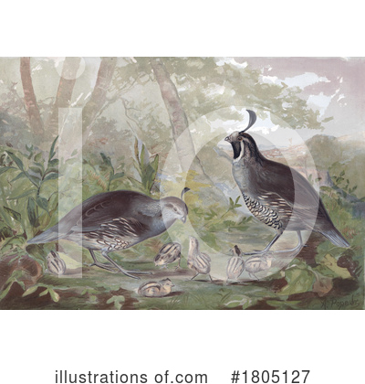 Royalty-Free (RF) Bird Clipart Illustration by JVPD - Stock Sample #1805127