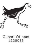 Bird Clipart #228083 by Lal Perera