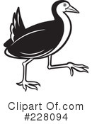 Bird Clipart #228094 by Lal Perera