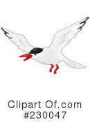 Bird Clipart #230047 by BNP Design Studio