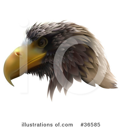 Eagle Clipart #36585 by dero
