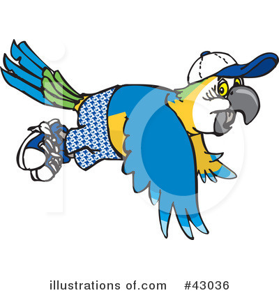 Blue And Gold Macaw Clipart #43036 by Dennis Holmes Designs