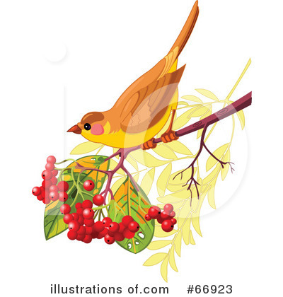 Royalty-Free (RF) Bird Clipart Illustration by Pushkin - Stock Sample #66923