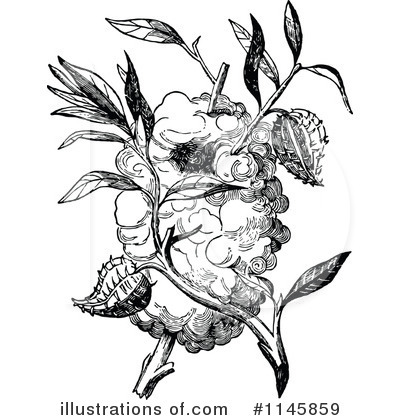 Royalty-Free (RF) Bird Nest Clipart Illustration by Prawny Vintage - Stock Sample #1145859
