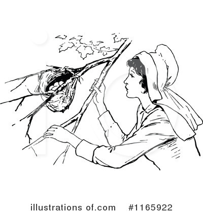 Royalty-Free (RF) Bird Nest Clipart Illustration by Prawny Vintage - Stock Sample #1165922