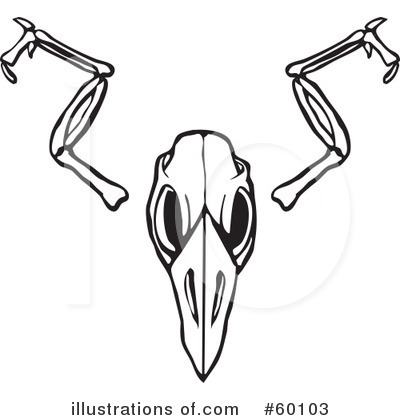 Royalty-Free (RF) Bird Skull Clipart Illustration by xunantunich - Stock Sample #60103