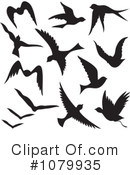Birds Clipart #1079935 by Any Vector
