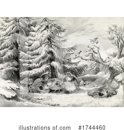 Winter Clipart #1744460 by JVPD