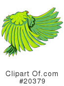 Birds Clipart #20379 by Tonis Pan