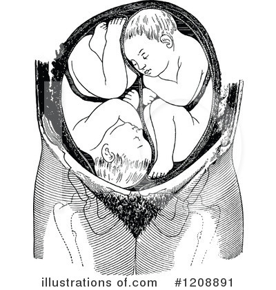 Human Anatomy Clipart #1208891 by Prawny Vintage