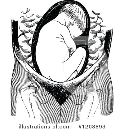 Birth Clipart #1208893 by Prawny Vintage