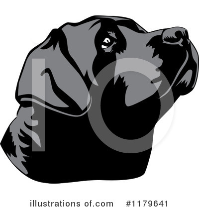 Labrador Clipart #1179641 by David Rey