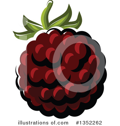 Blackberries Clipart #1352262 by Vector Tradition SM