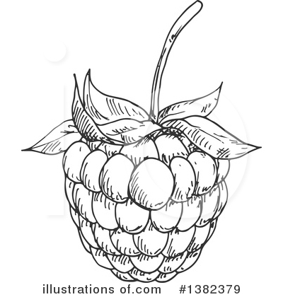 Blackberry Clipart #1382379 by Vector Tradition SM