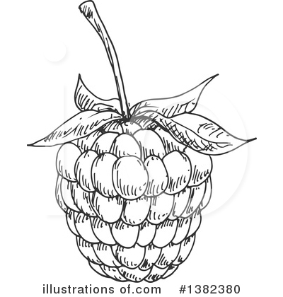 Blackberries Clipart #1382380 by Vector Tradition SM