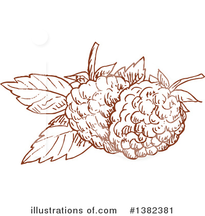 Royalty-Free (RF) Blackberry Clipart Illustration by Vector Tradition SM - Stock Sample #1382381