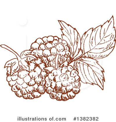 Blackberries Clipart #1382382 by Vector Tradition SM