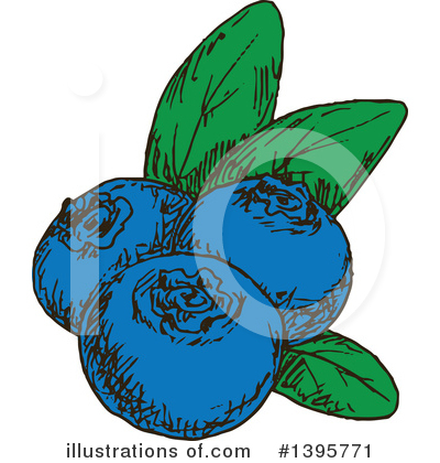 Blueberries Clipart #1395771 by Vector Tradition SM